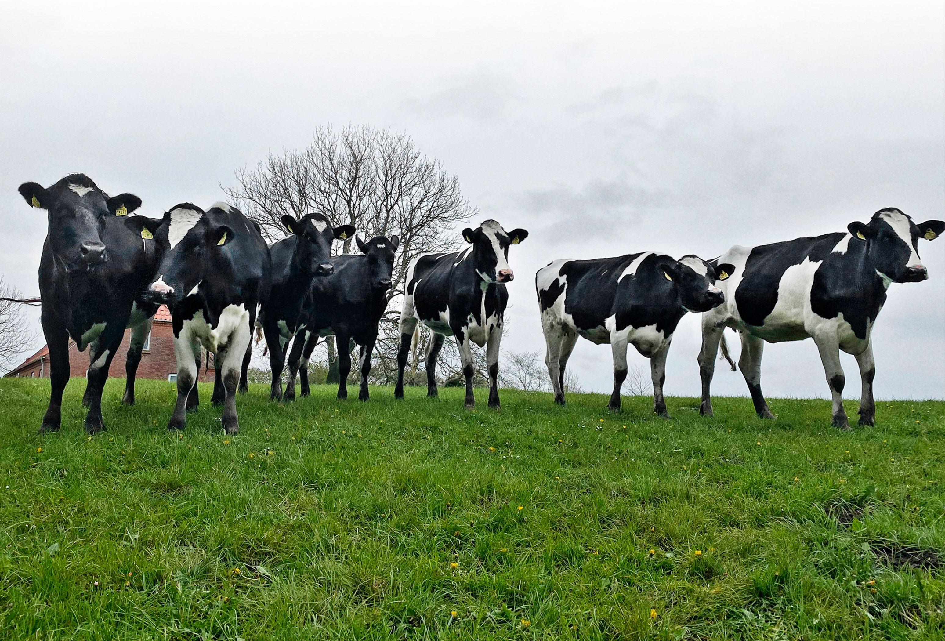 Vagn Christensen 3 Web