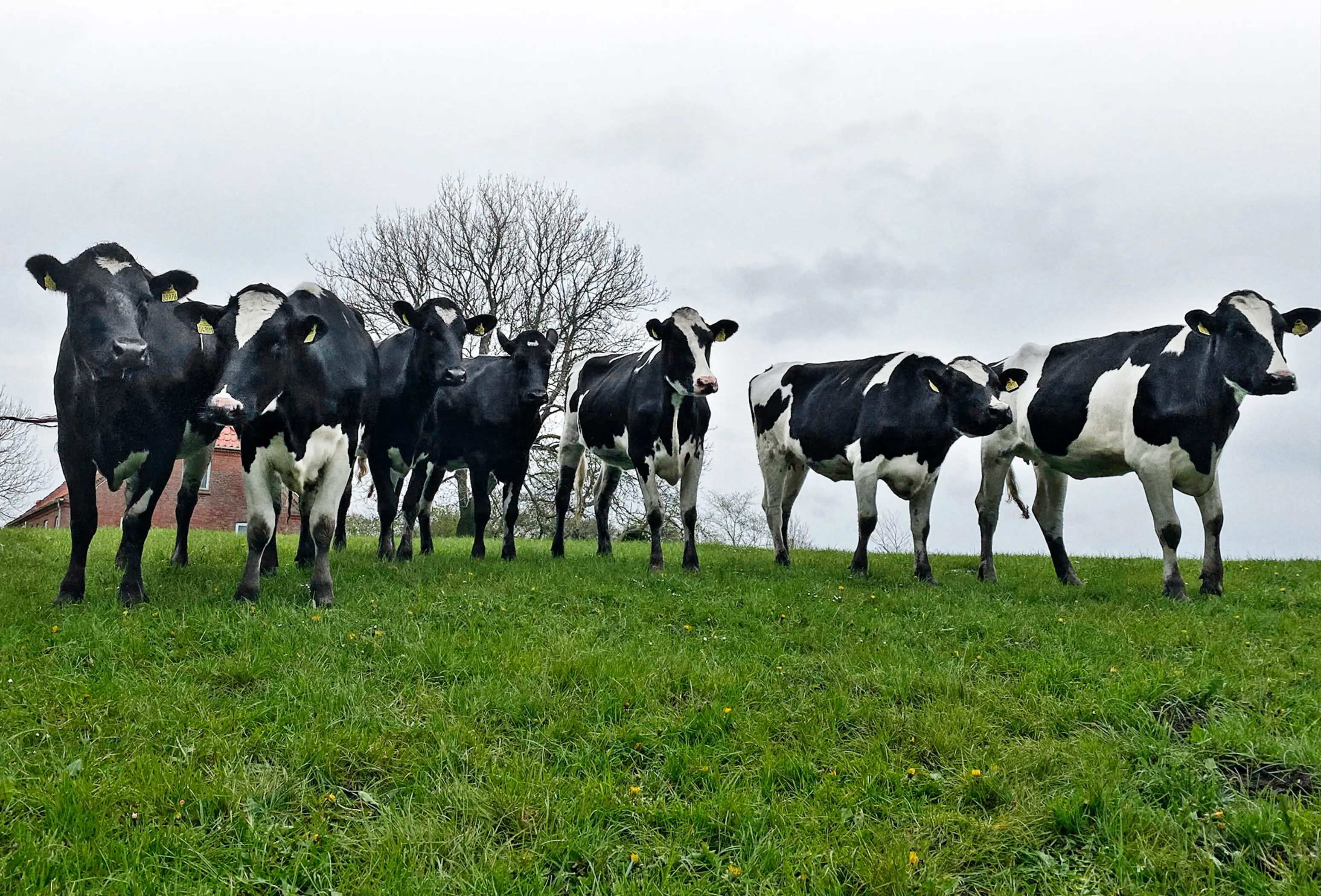 Vagn Christensen 3 Web