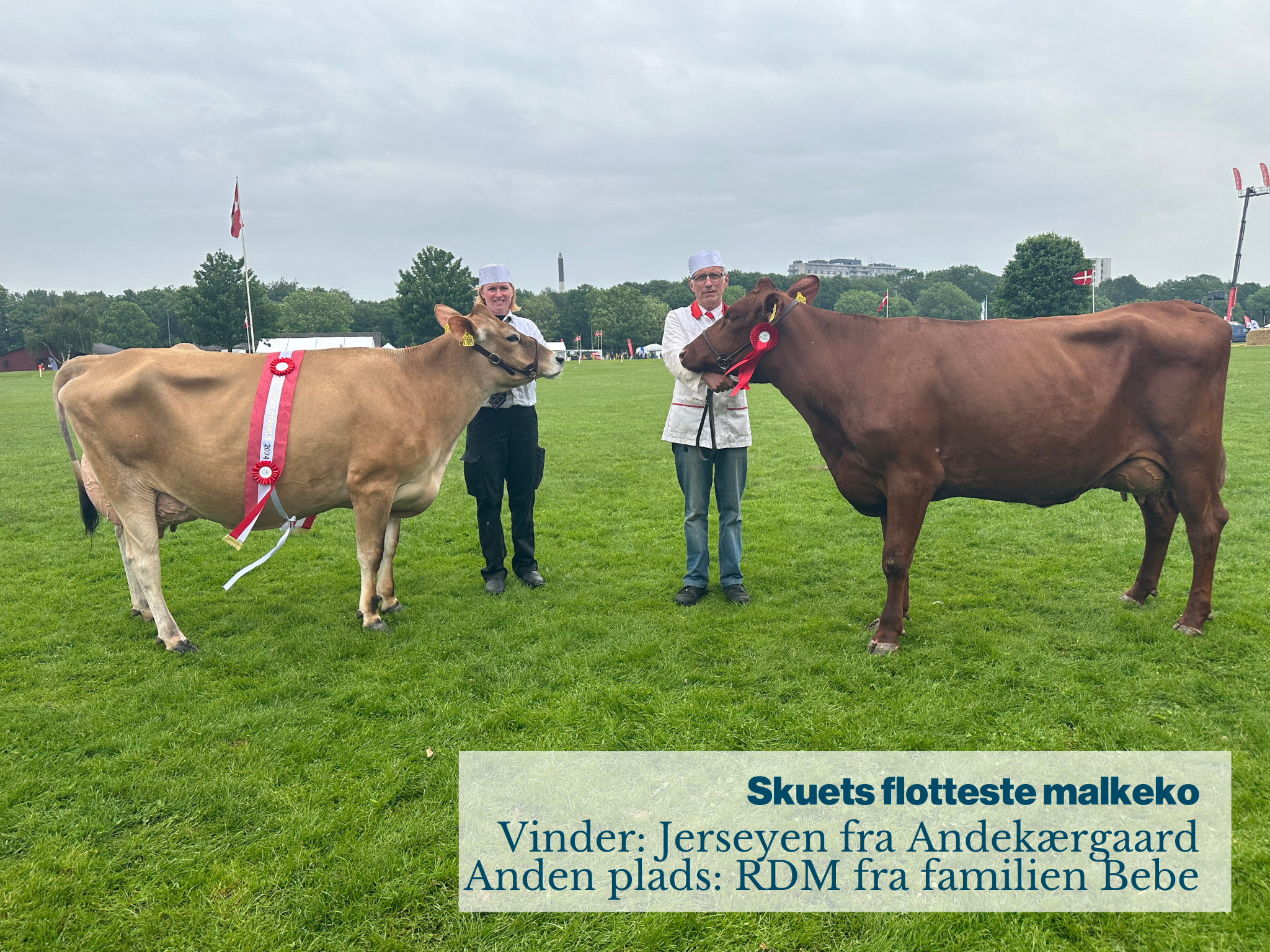 Skuets Flotteste Makleko