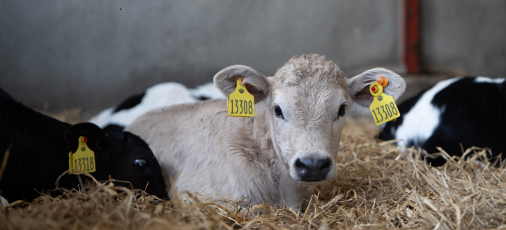 Webinar Om X Indekset