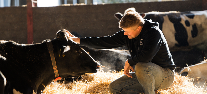 Nye Avlsværdital Temperament