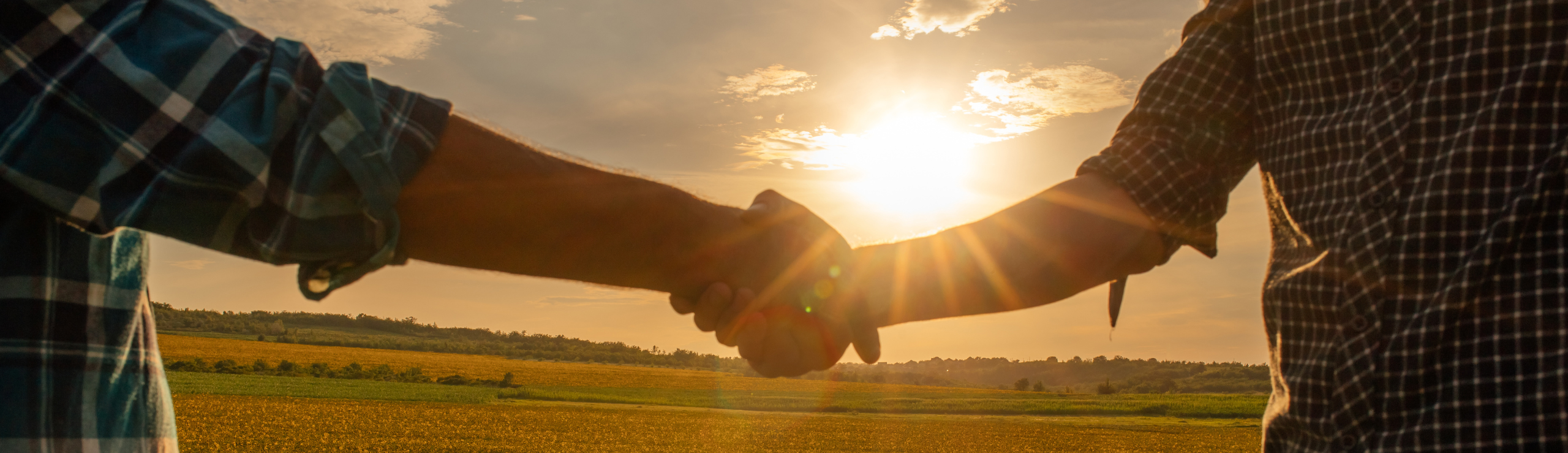 Samarbejde Med Stgenetics