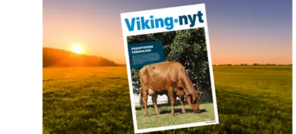 Vikingnyt Marts 2023