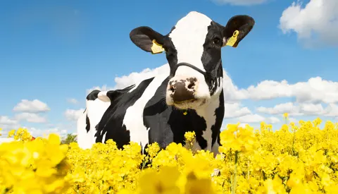 32610 3124 VH Radium Stemning2 Srgb Web