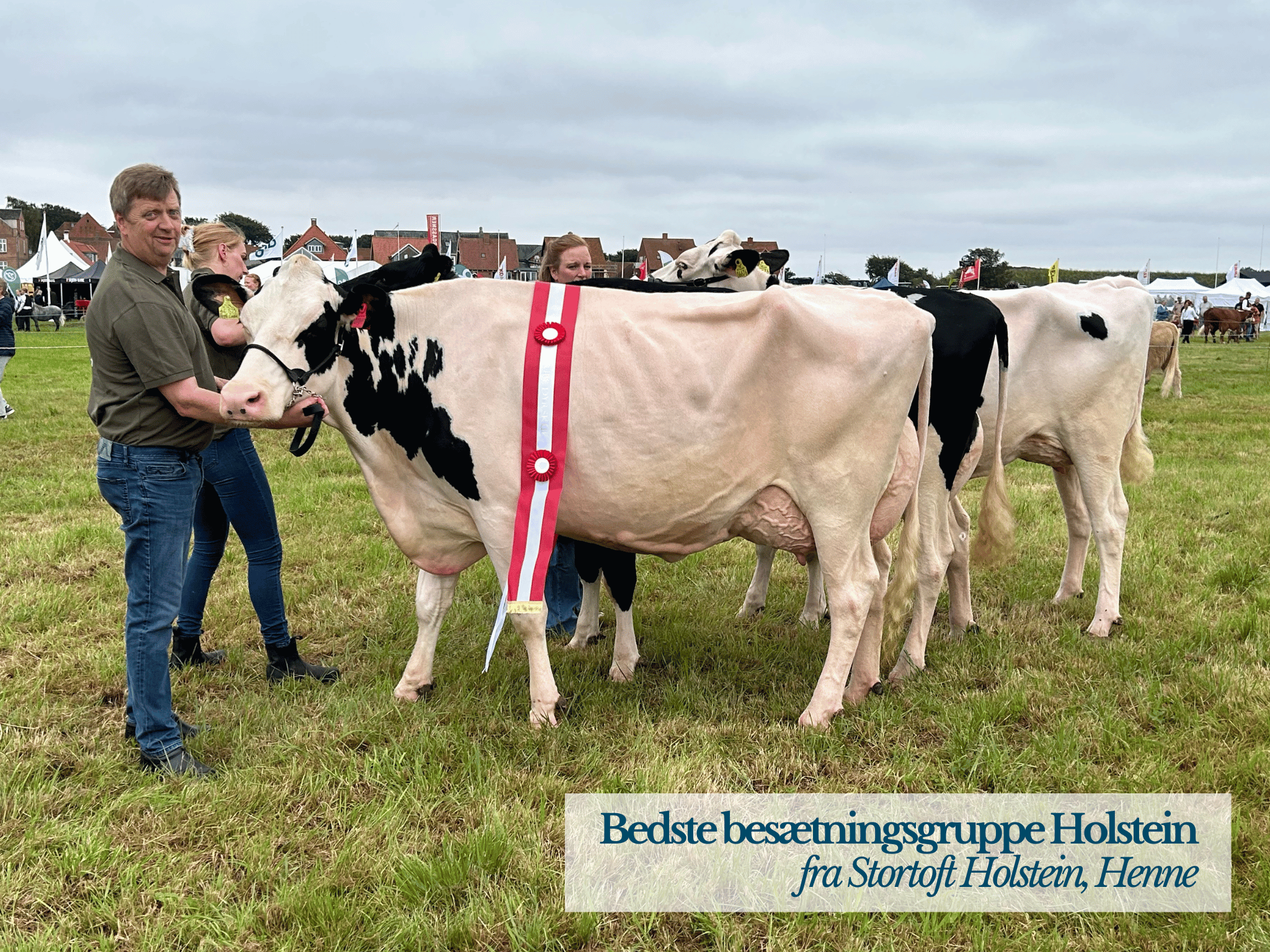 Bedste Besætningsgruppe Holstein, Ribe Dyrskue 2025