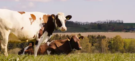 NYTSTU~2