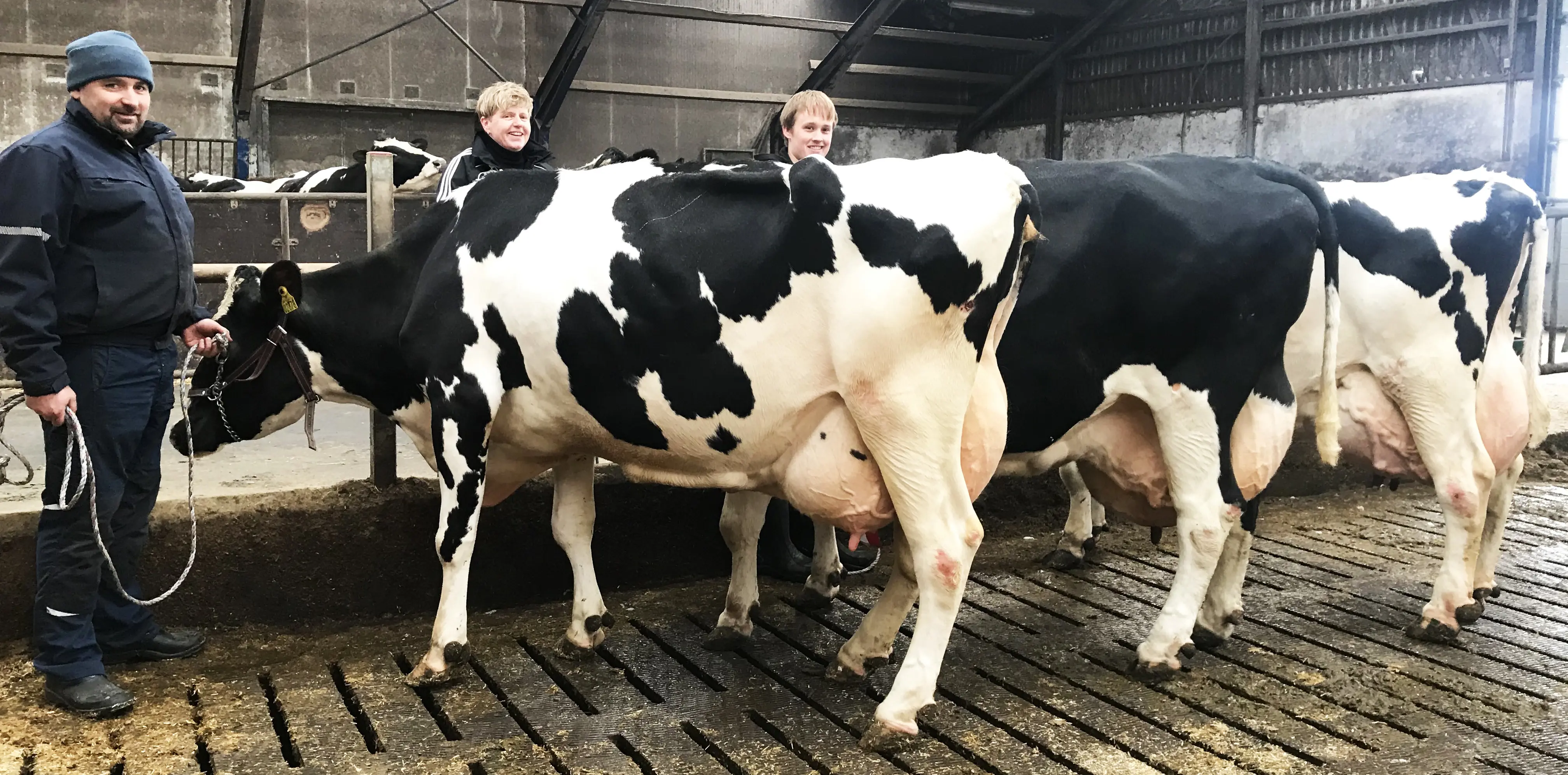 Lene Og Bjarne Graversen Red