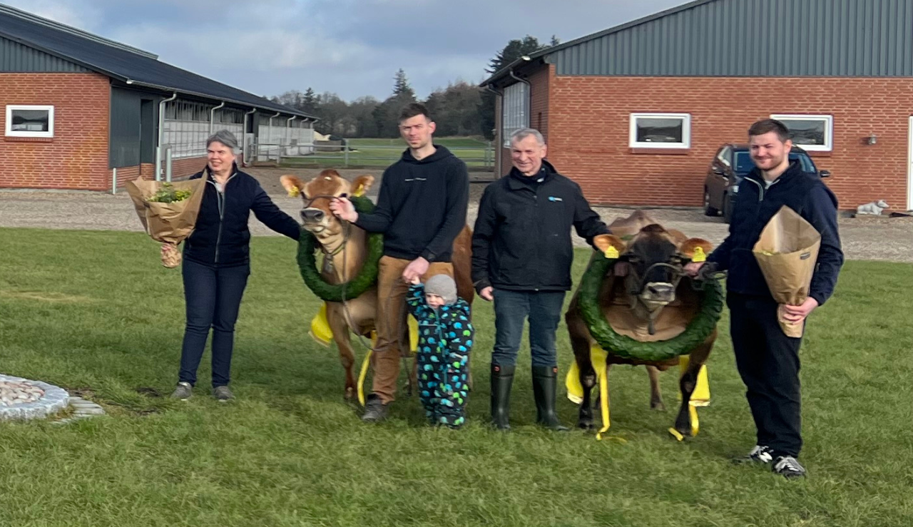 Ko Nr. 02502 Og 01727