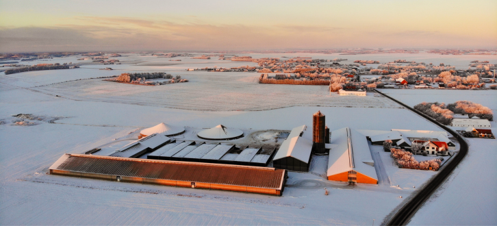 Kvæggård I Snedækket Landskab Med Smukke Solstråler