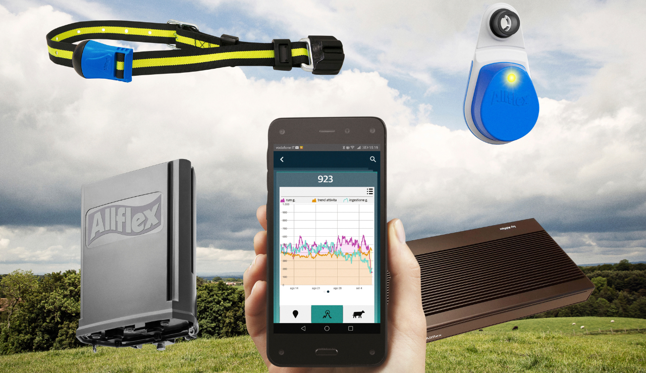 Half Hero Qarter 1280 739Px 5