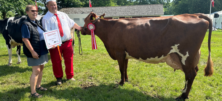 Guldko RDM Og Samlet Vinder På Tværs Af Racerne.JPG