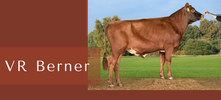 ARTICLE ENTRY TYR (25)