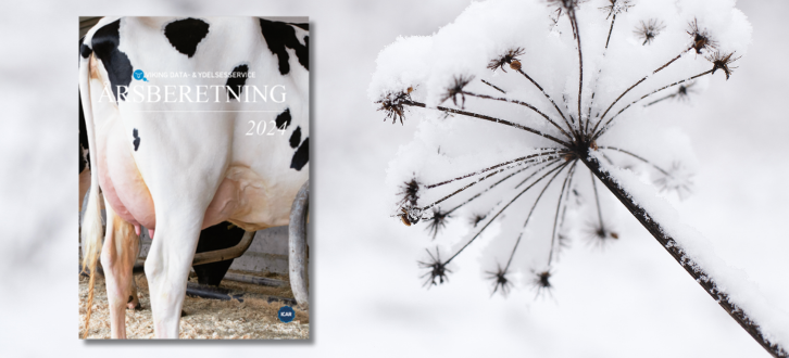 Årsberetningen I Naturlige Omgivelser