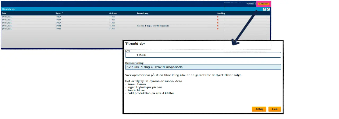 Ikke Relevant, 9