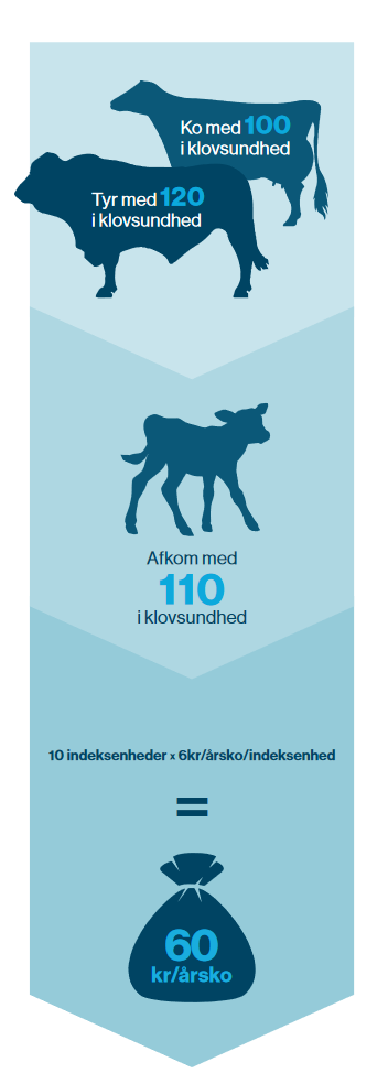 2021 07 05 At 15 31 55 Document Pdf