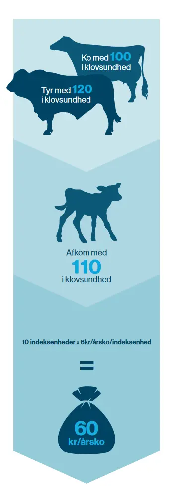 2021 07 05 At 15 31 55 Document Pdf