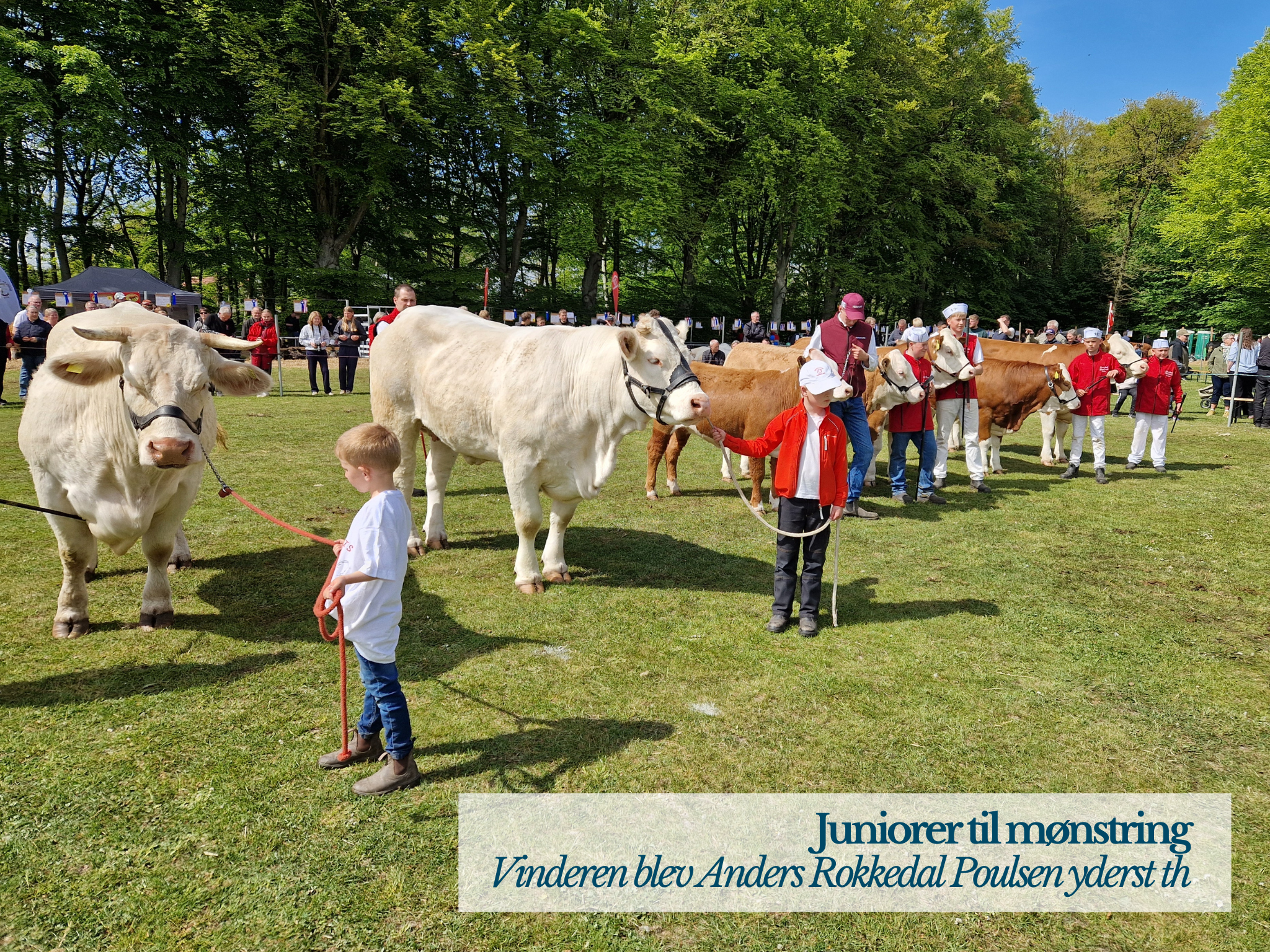 Juniorer Til Mønstring