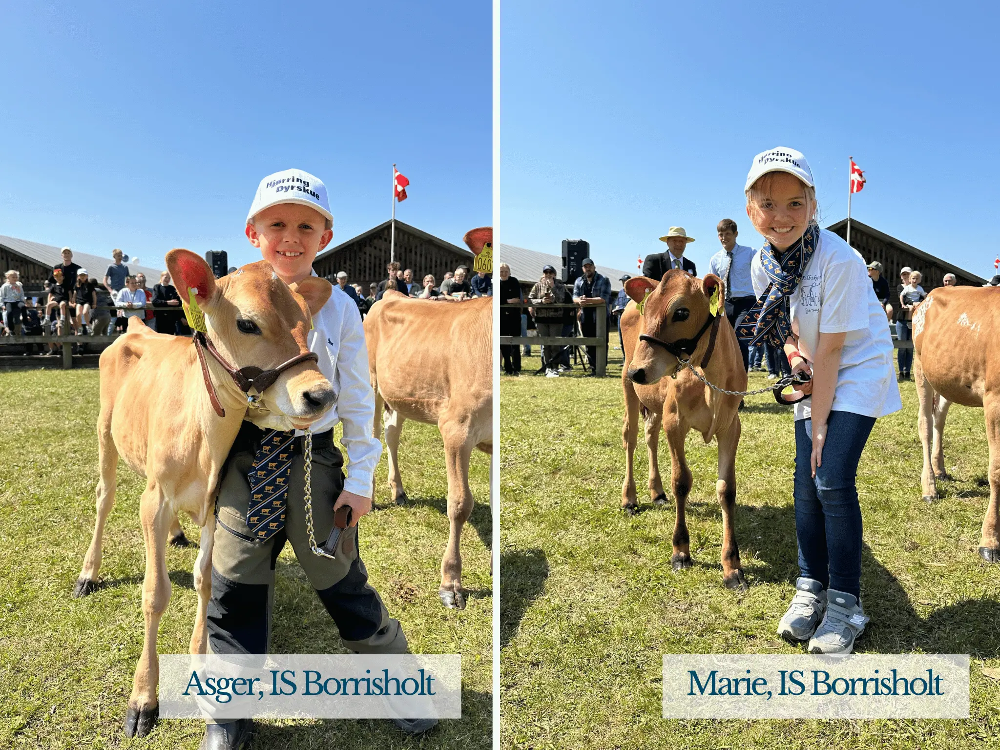 Stemningsbilleder Af Asger Og Marie, Hjørring Dyrskue