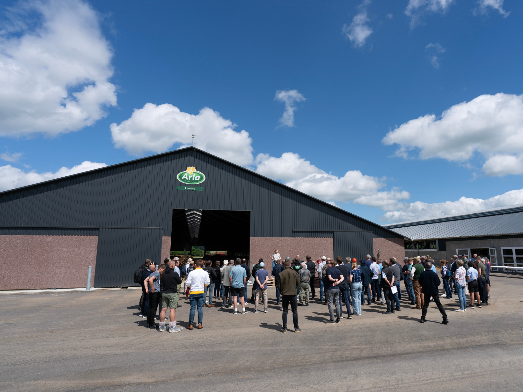 Jersey Verdenskongres 5