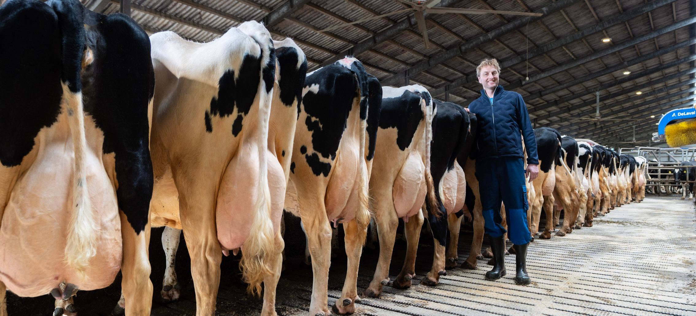 Article Entry Spotreference Image (726X330 Px)