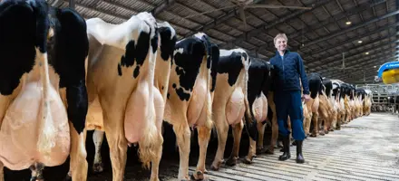 Article Entry Spotreference Image (726X330 Px)