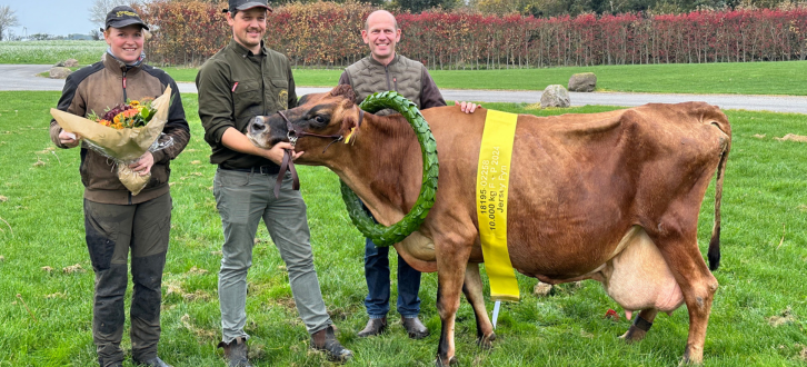 Ko Nr. 2258 Fra Andekærgaard