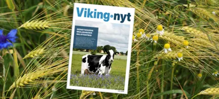 Untitled (419 × 284Px) (3) (1)