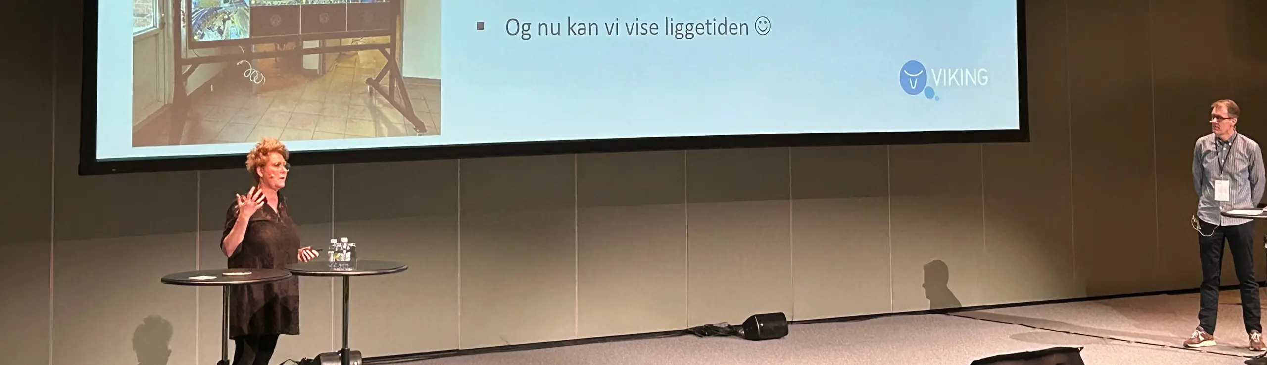 Vblene Og Palle
