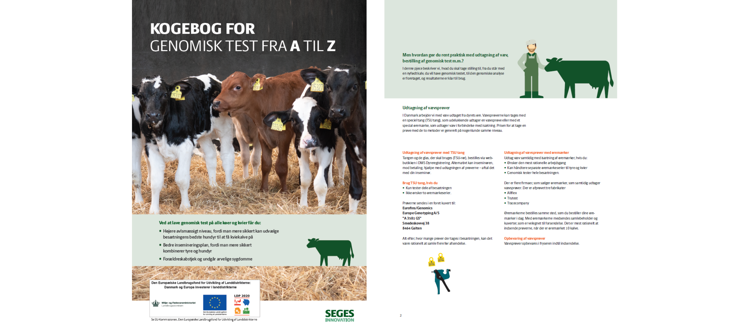 Genominsk Test A Z S. 1 2