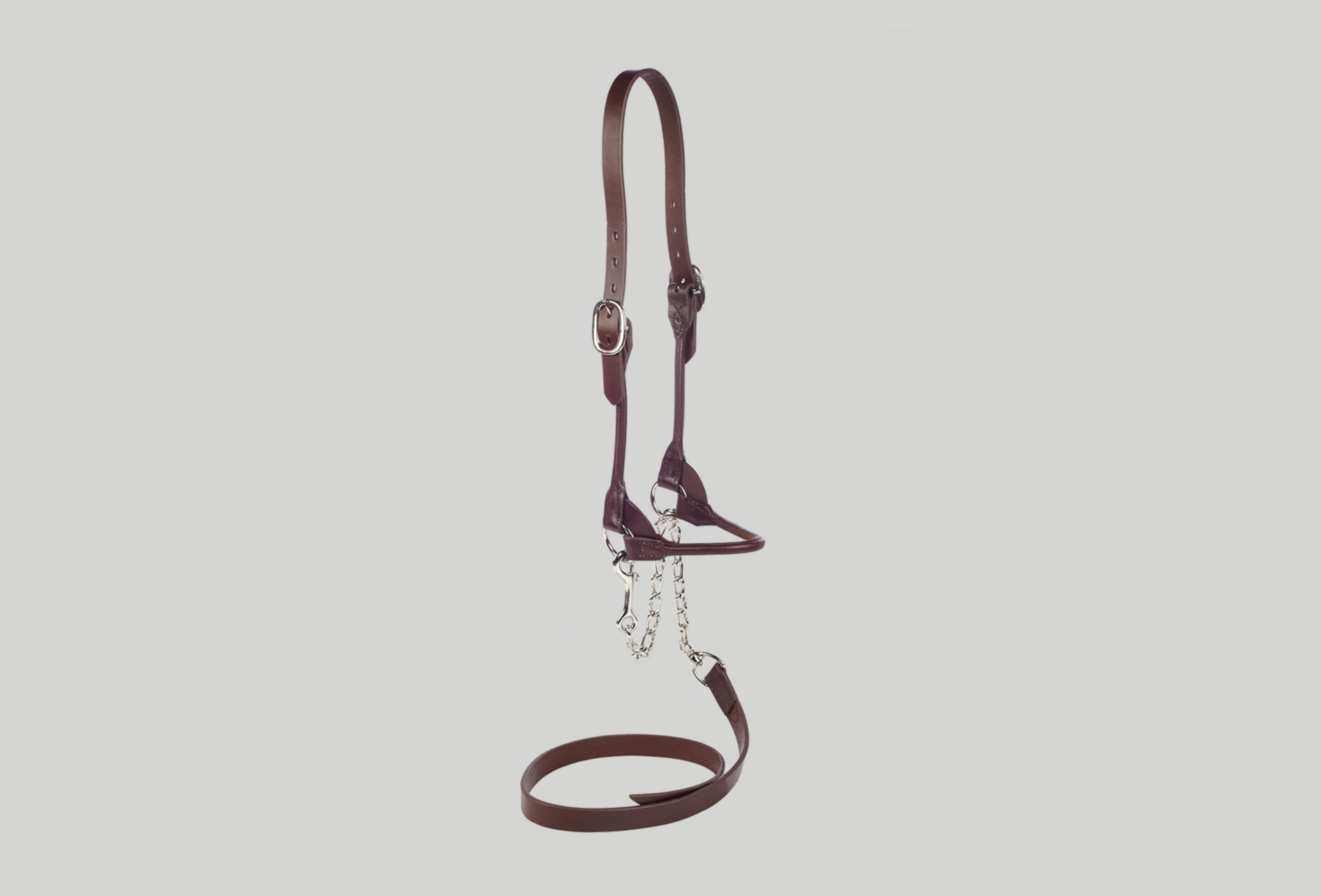 100155 Halster Rood Slim Line Double Buckel 751X1024