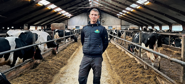 Anders Skovdal I Stalden Med Køer