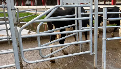Allflex Låge