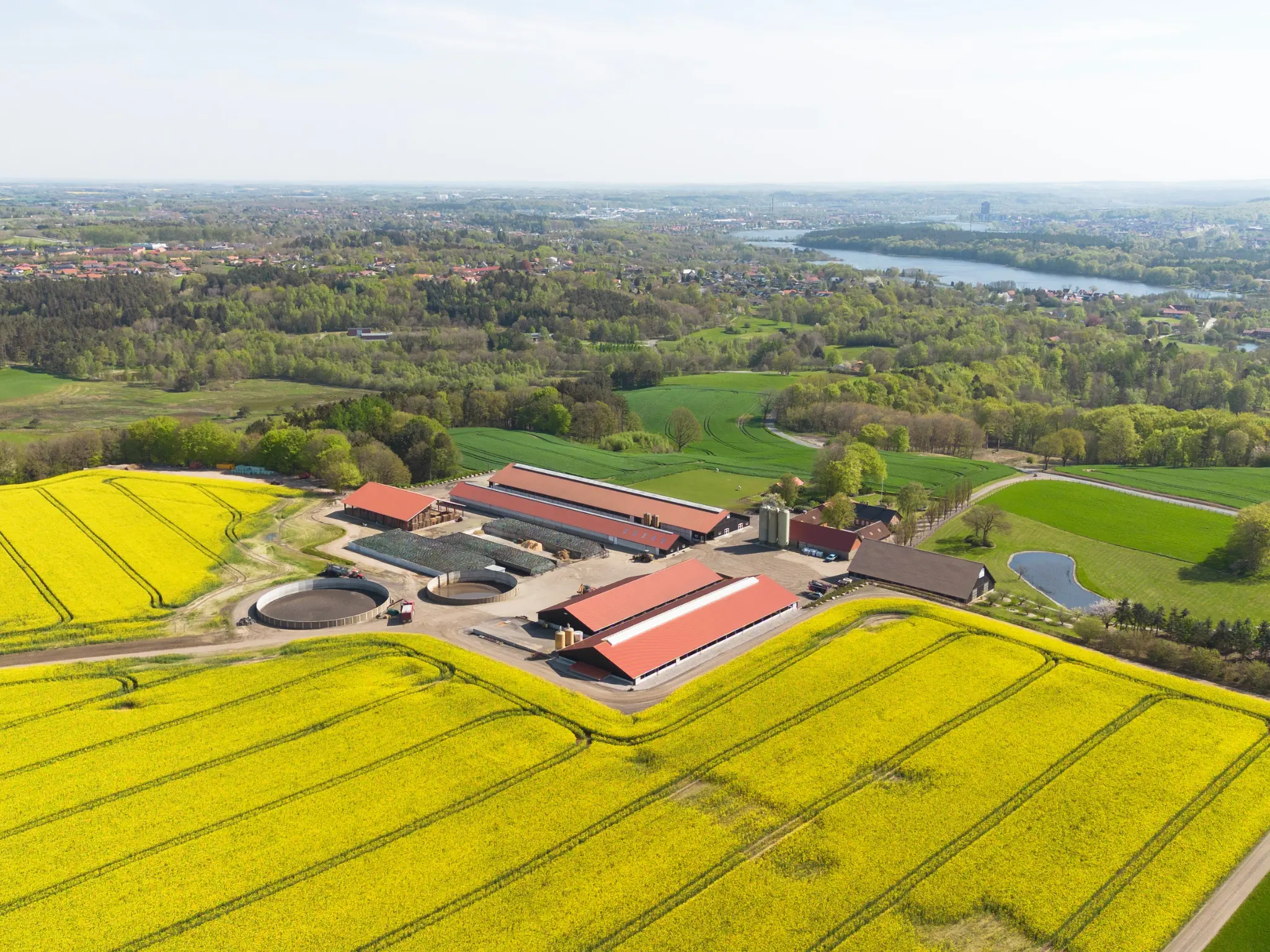 Jersey Verdenskongres 2