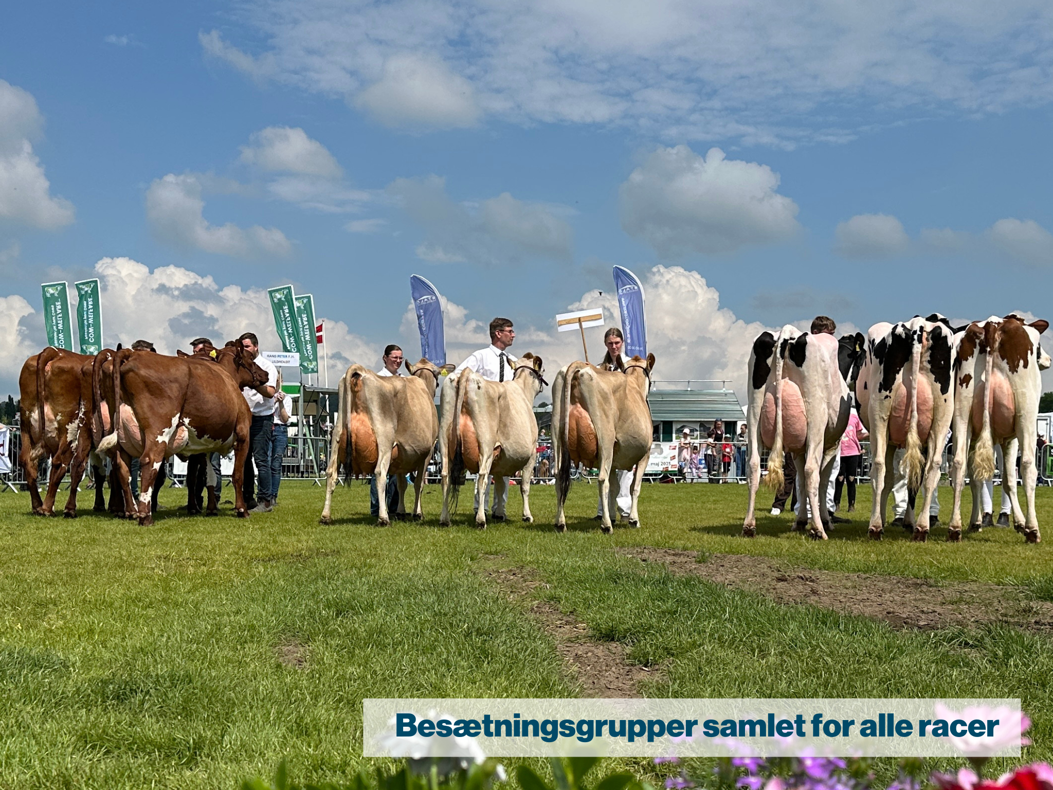 Besætningsgrupper samlet for alle racer