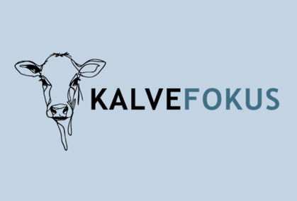 Kalvefokus Er Viden Der Værdi, Når Den Bliver Omsat Til Handling I Stalden
