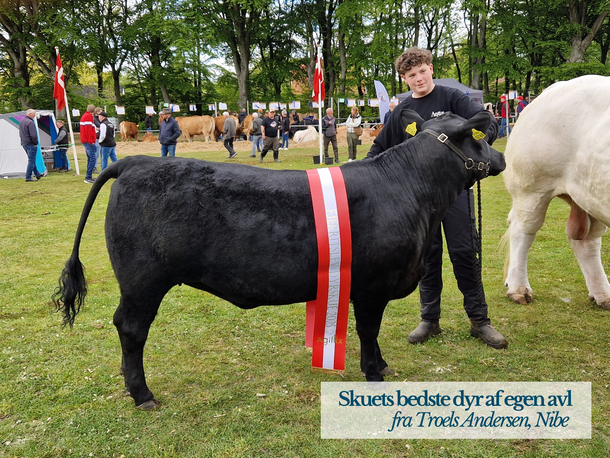 Skuets Bedste Dyr Af Egen Avl