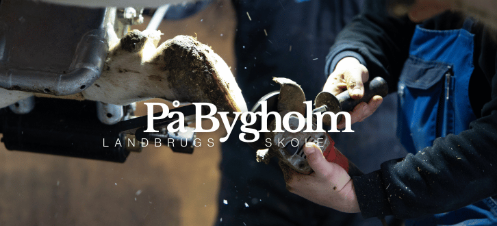 Klovbeskæringskursus På Bygholm