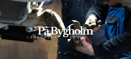 Klovbeskæringskursus På Bygholm