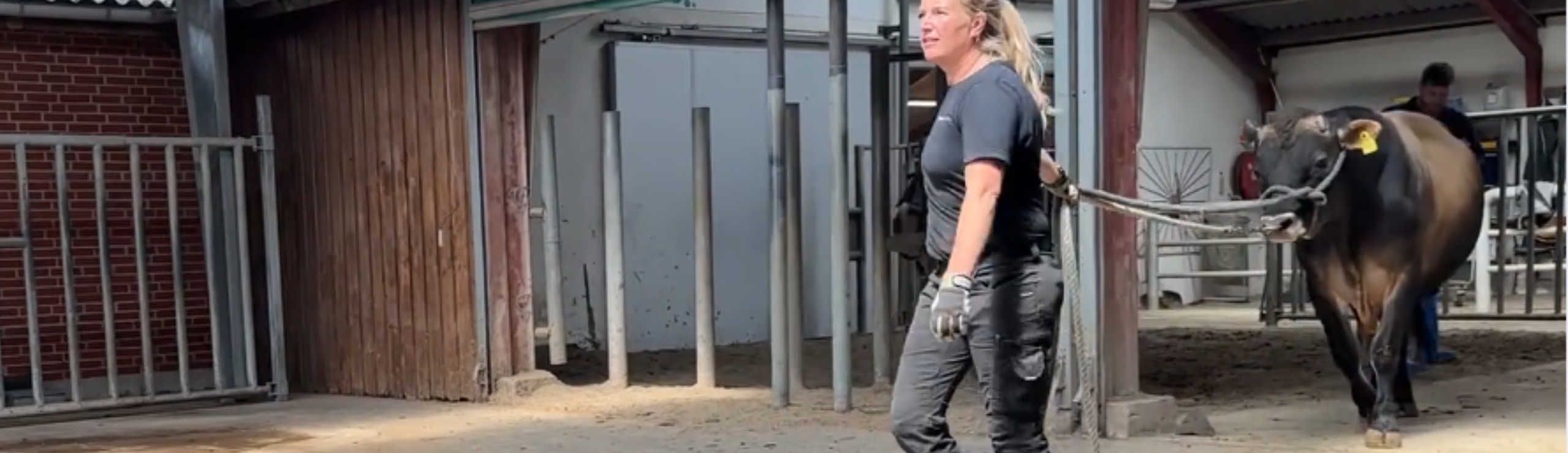 VJ Hex På Tyrestationen