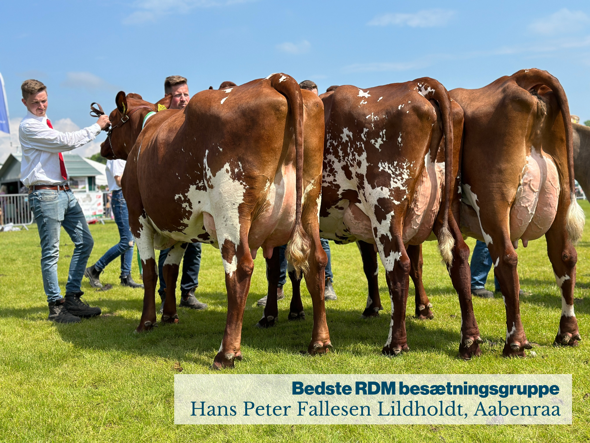 Bedste RDM besætninggruppe