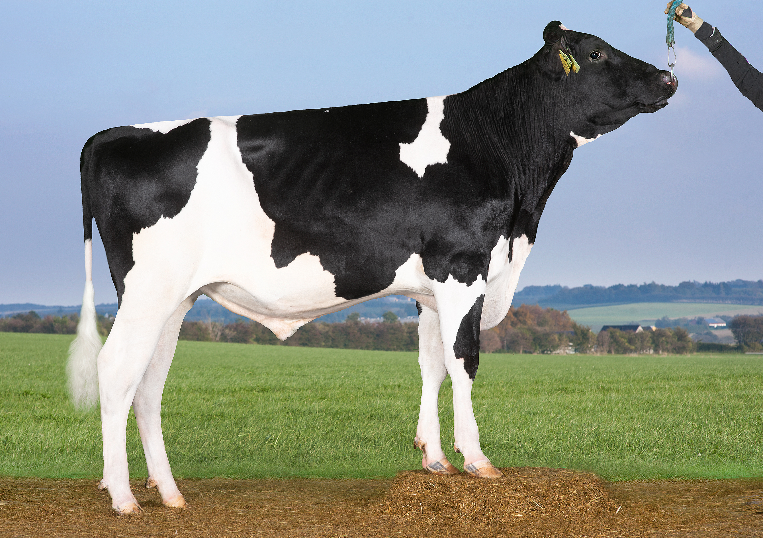 VH Sadudu (VH Solado)