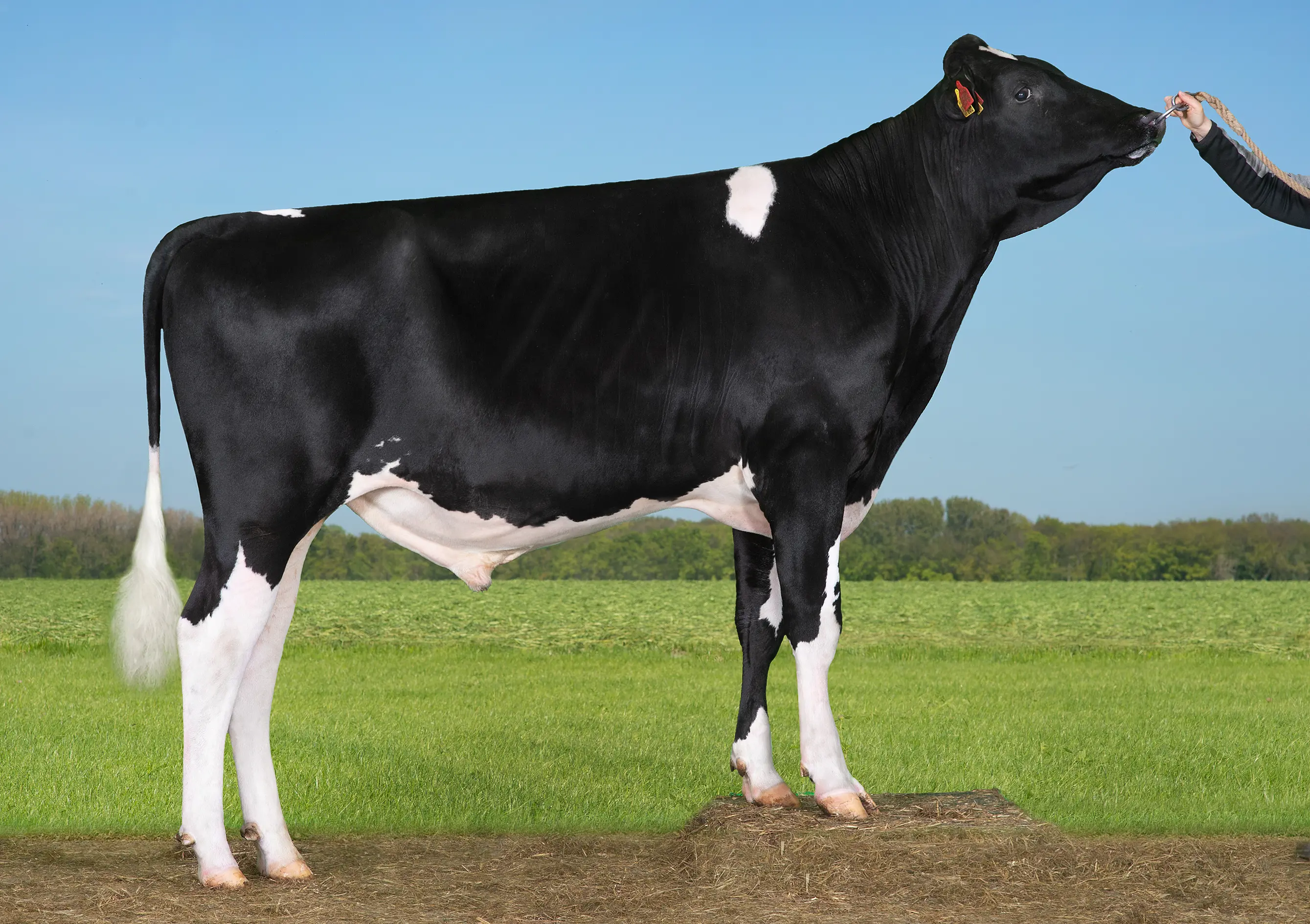 VH Nurval (VH Nader)