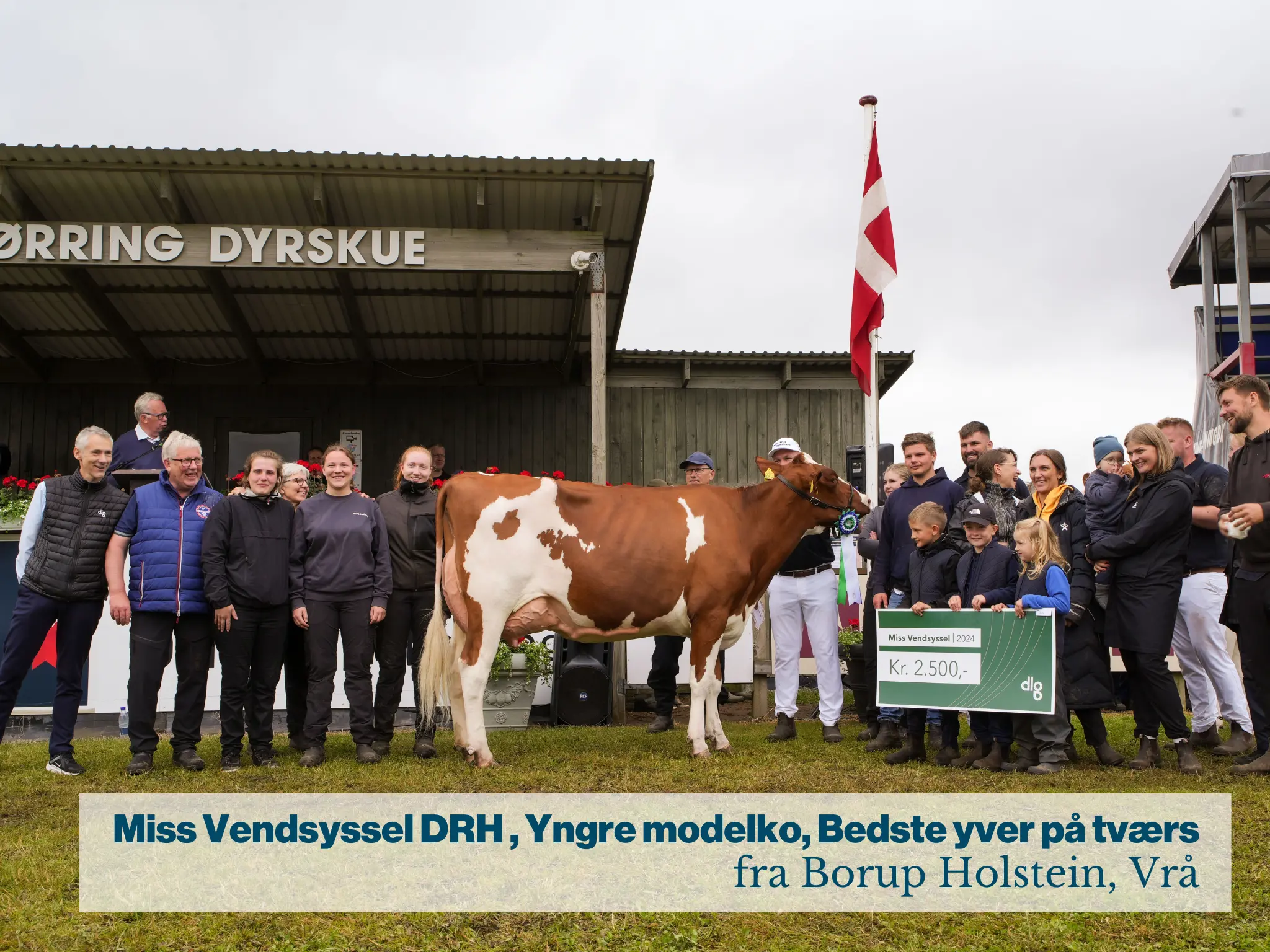 Miss Vendsyssel