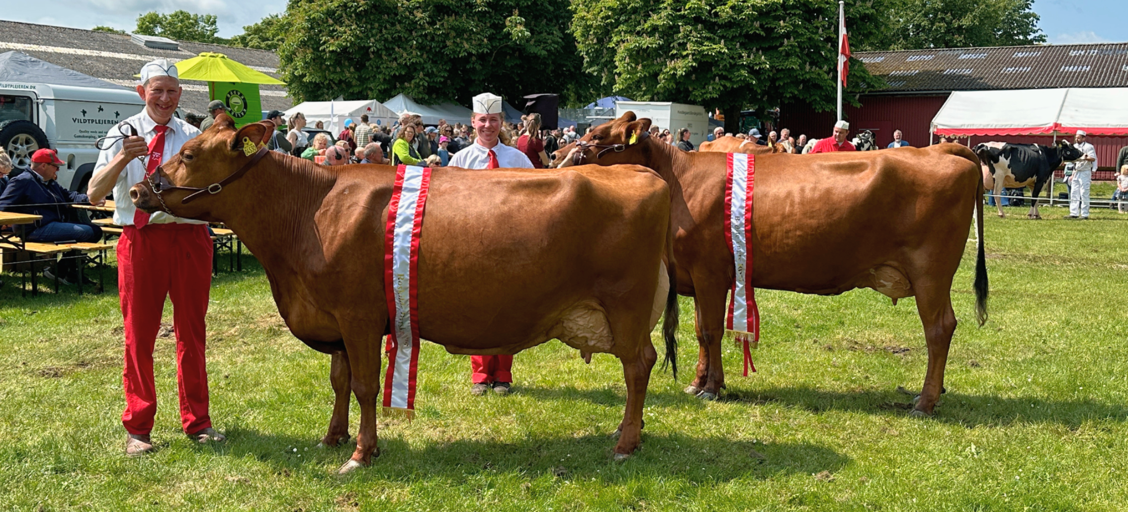 Entry Roskilde Dyrskue 2025