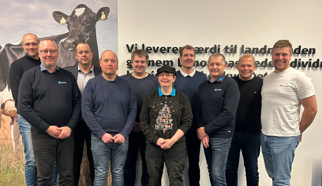 Vikingdanmarks Bestyrelse