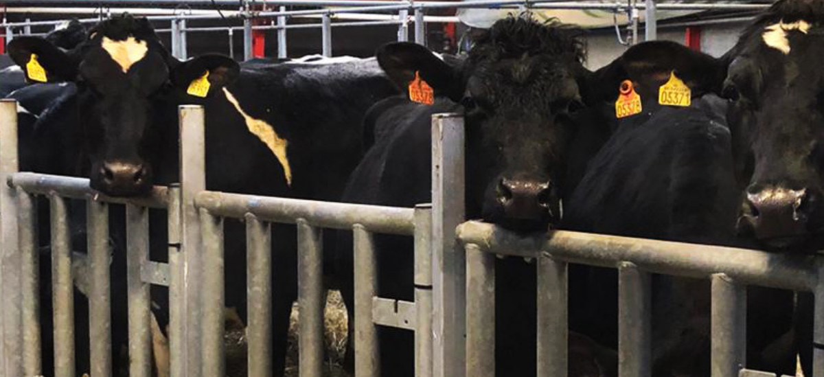 God Rejse!(1) Forside