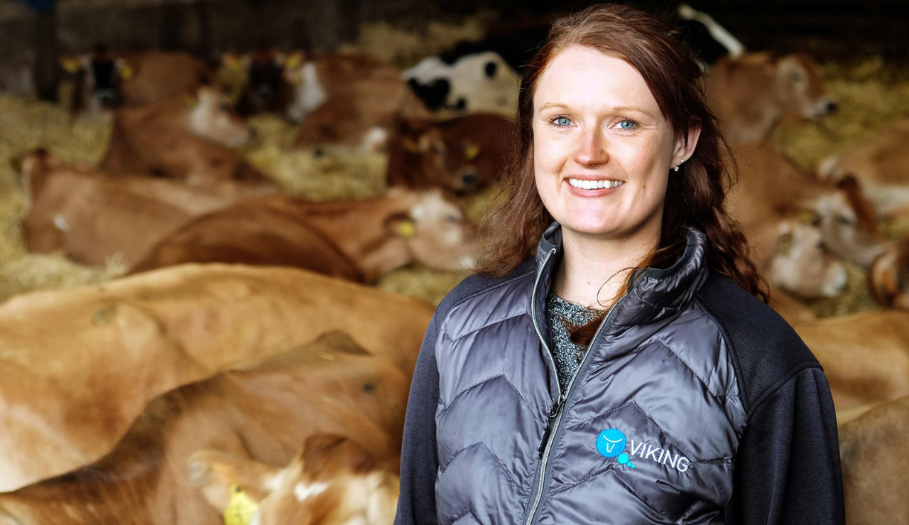 Half Hero Qarter Beklædning