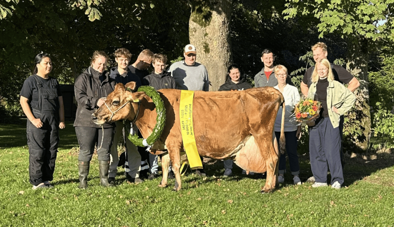 𝘒𝘰 𝘯𝘳. 2233 𝘧𝘦𝘫𝘳𝘦𝘵 𝘧𝘰𝘳 10.000 𝘬𝘨 𝘍+𝘗 𝘩𝘰𝘴 𝘛𝘢𝘴𝘵𝘶𝘮 𝘑𝘦𝘳𝘴𝘦𝘺 𝘷 𝘍𝘢𝘮𝘪𝘭𝘪𝘦𝘯 𝘚ø𝘨𝘢𝘢𝘳𝘥