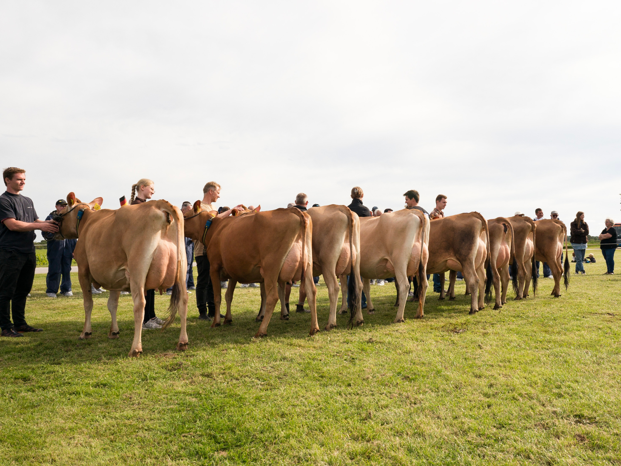 Jersey Verdenskongres 39