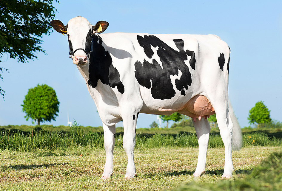 Vh Bernell Daughter1 No 32003 3584 From Anton Hammersho J Hobro Scenic Srgb Web